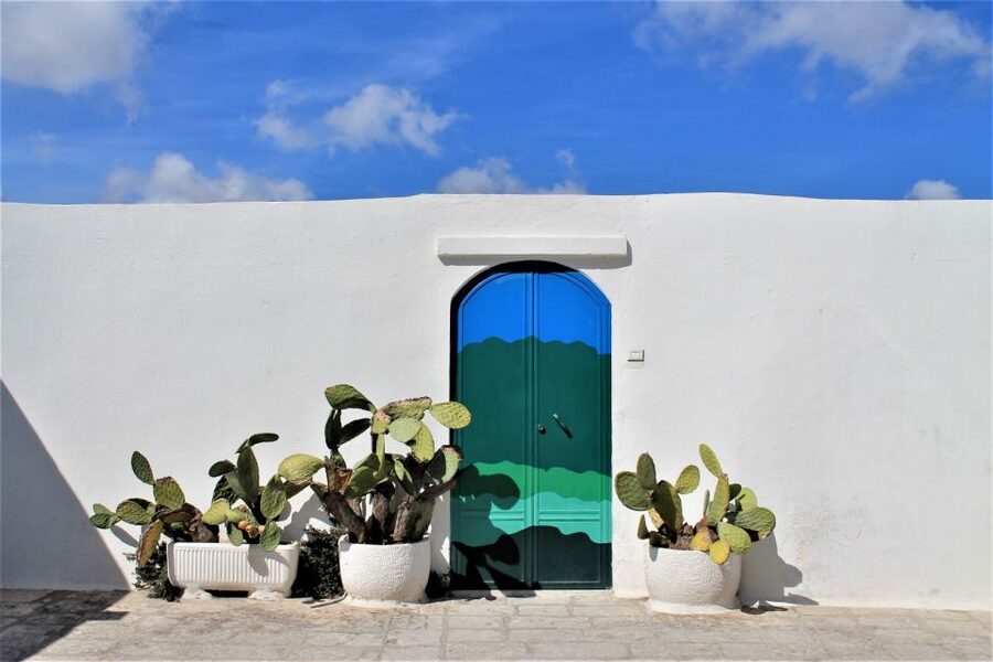 Ostuni: Guided e-bike tour + countryside tasting stop - Ancient olive trees and the making of extra virgin olive oil