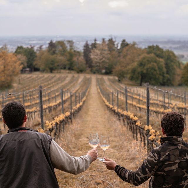 Ozzano Emilia: Guided Cellar Walking Tour with Wine Tasting - Key points at a glance