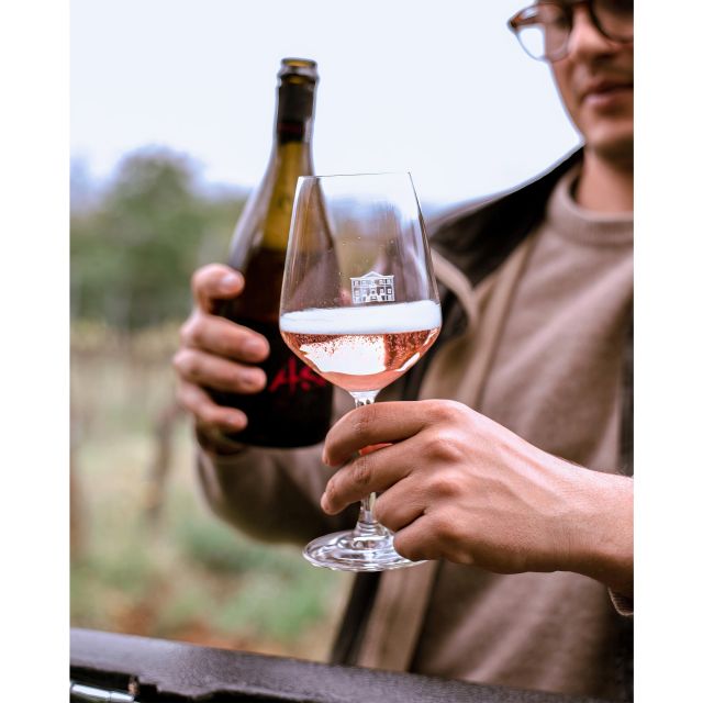 Ozzano Emilia: Guided Cellar Walking Tour with Wine Tasting - Why this estate makes a good Bologna side trip