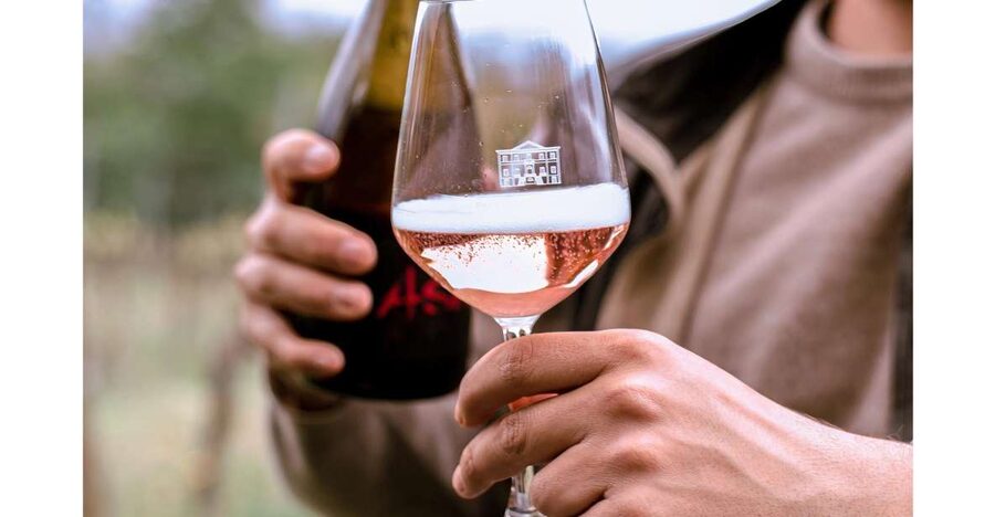 Ozzano Emilia: Guided Cellar Walking Tour with Wine Tasting - Walking from the vines to the bottle