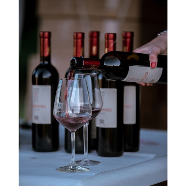 Ozzano Emilia: Guided Cellar Walking Tour with Wine Tasting - Who should book this wine tour