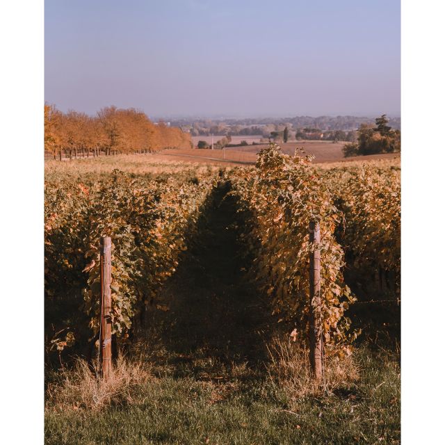 Ozzano Emilia: Guided Cellar Walking Tour with Wine Tasting - Arriving at Cantina Palazzona di Maggio
