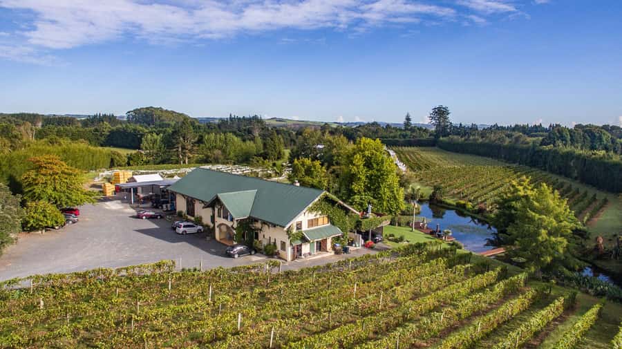 Paihia or Kerikeri: Wine, Spirit, & Craft Beer Tour - Marsden Estate brings wine and lunch together