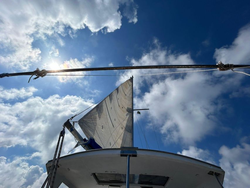 Palermo: Full-Day Snorkeling Boat Tour with Lunch and Wine - Key points to know before you book