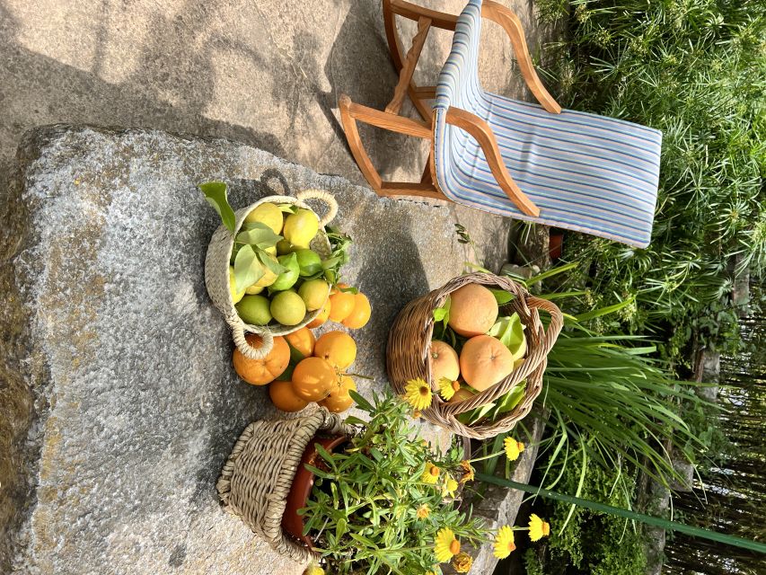 Palma: Orange Farm, Olive Mill, & Winery Tour with Tastings - At a glance