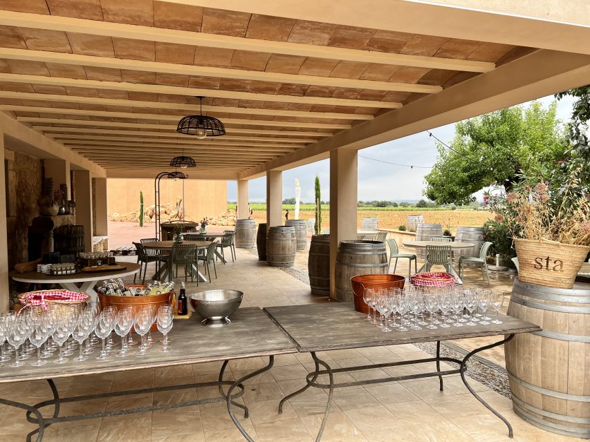 Palma: Orange Farm, Olive Mill, & Winery Tour with Tastings - Wine after the olives