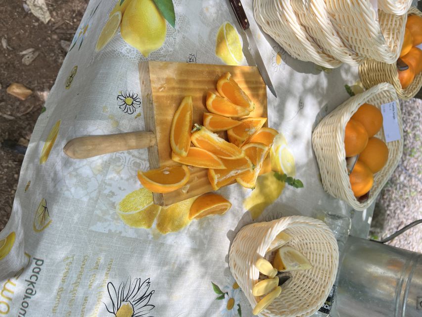 Palma: Orange Farm, Olive Mill, & Winery Tour with Tastings - Practical details that affect your comfort
