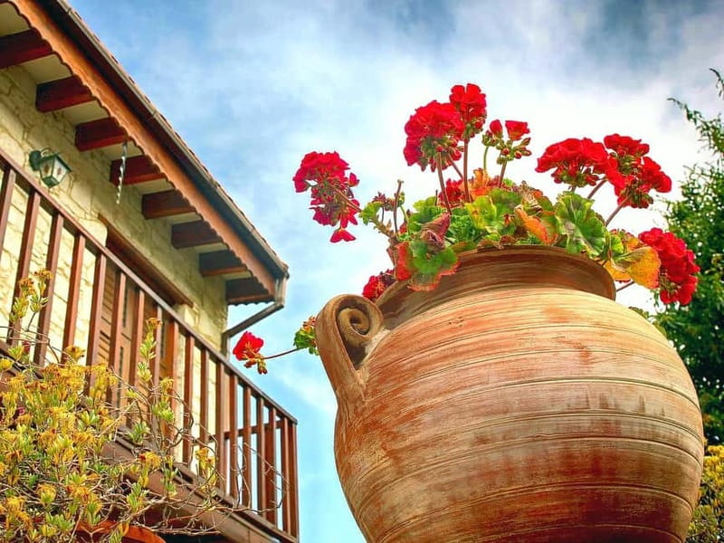 Paphos: Gourmet Cyprus Tour – Local Flavors & Wine - Lambouri Winery brings together wine, Zivania, and Commandaria