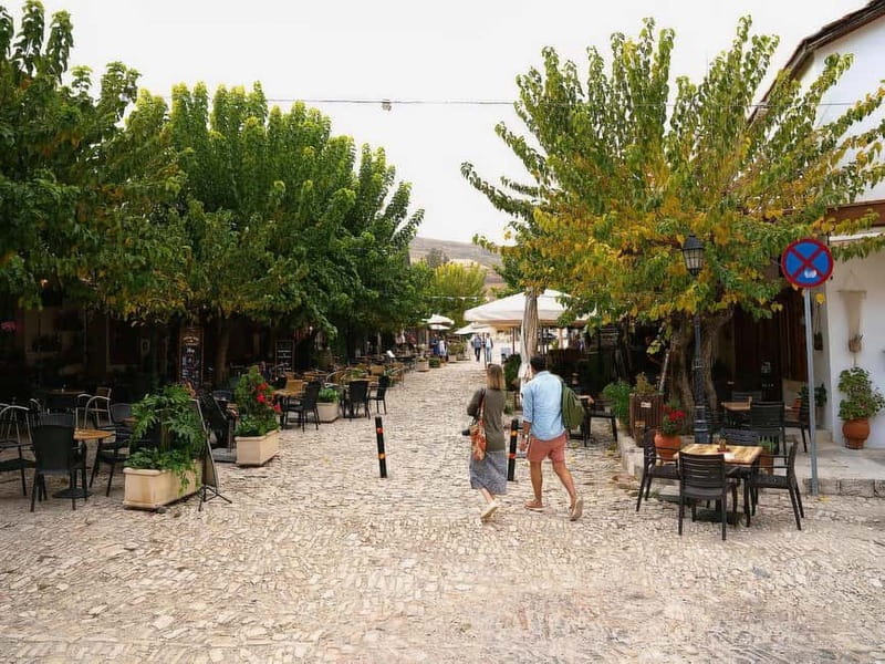Paphos: Scenic Troodos Mountains Tour with Wine Tasting - Lambouri Winery and two very different Cypriot drinks