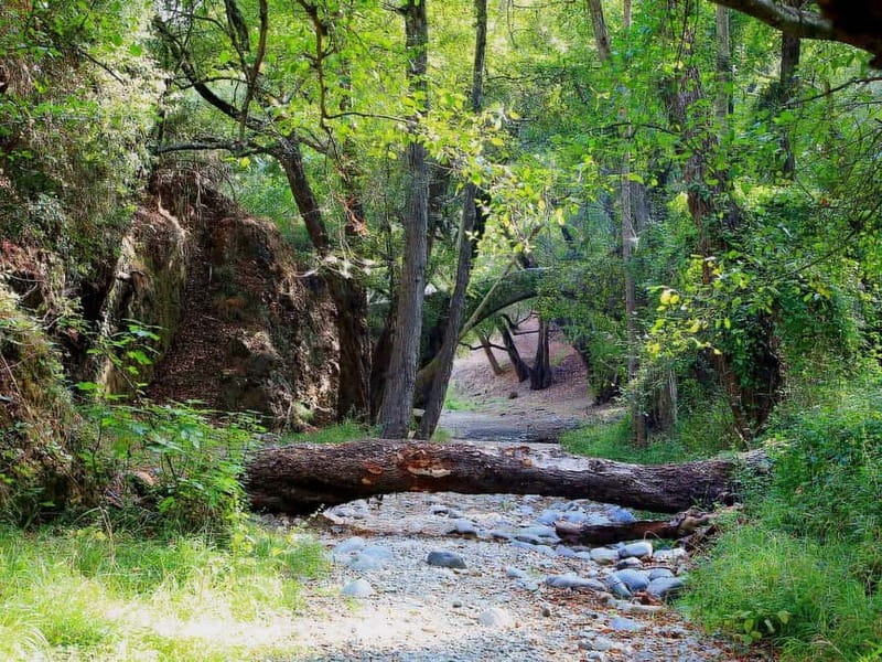 Paphos: Scenic Troodos Mountains Tour with Wine Tasting - Tzelefos Bridge and the feel of old Cyprus