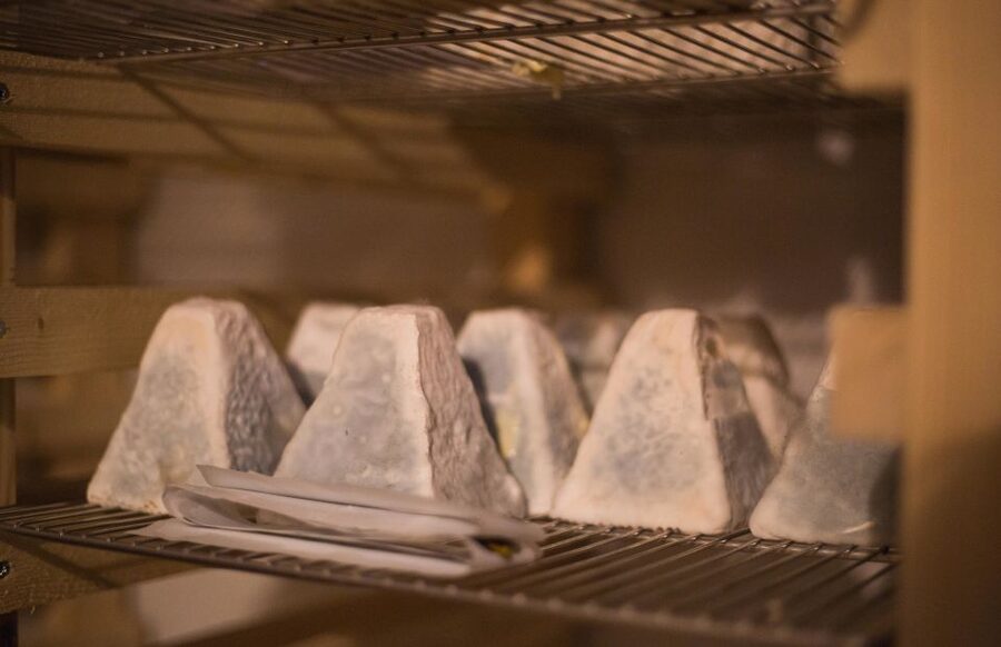 Paris: Cheese and Wine Class in a 17th Century Cellar - Three wines and the logic of pairing