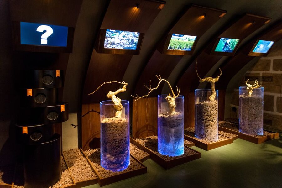 Paris: Les Caves du Louvre Guided Tour with Wine Tastings - What the one-hour timing means