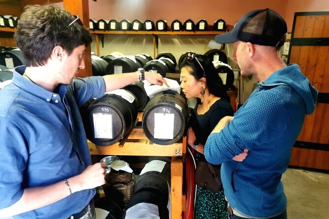 Parmigiano Wine and Balsamic Vinegar Experience from Bologna - Why this Emilia-Romagna food day makes sense