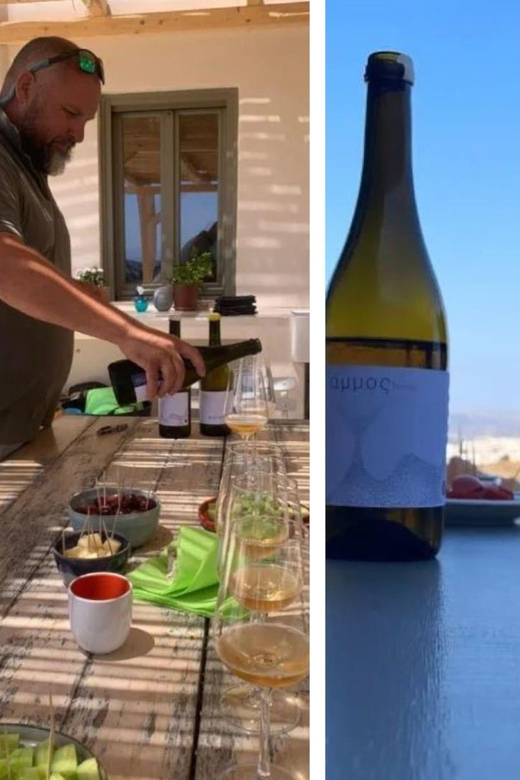 Paros: Wine tasting at Local Winery - Understanding the low-intervention approach