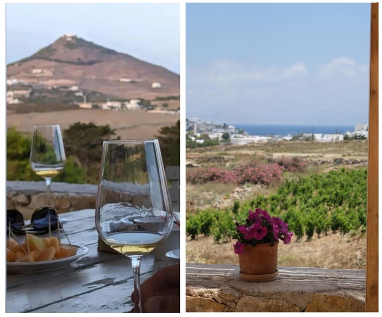 Paros: Wine tasting at Local Winery - Why the sea view matters