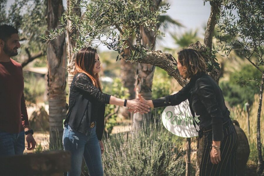 Partinico: Historic Sicilian Vineyard & Wine Tasting Tour - The opening walk through vines, olives, and citrus