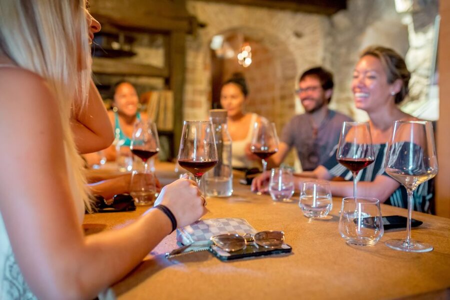 Pelješac Full-Day Wine and Food Tour from Dubrovnik - What makes this Pelješac day special