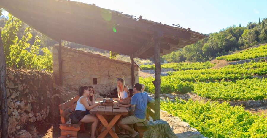 Pelješac Full-Day Wine and Food Tour from Dubrovnik - From Dubrovnik to Mali Ston in about an hour