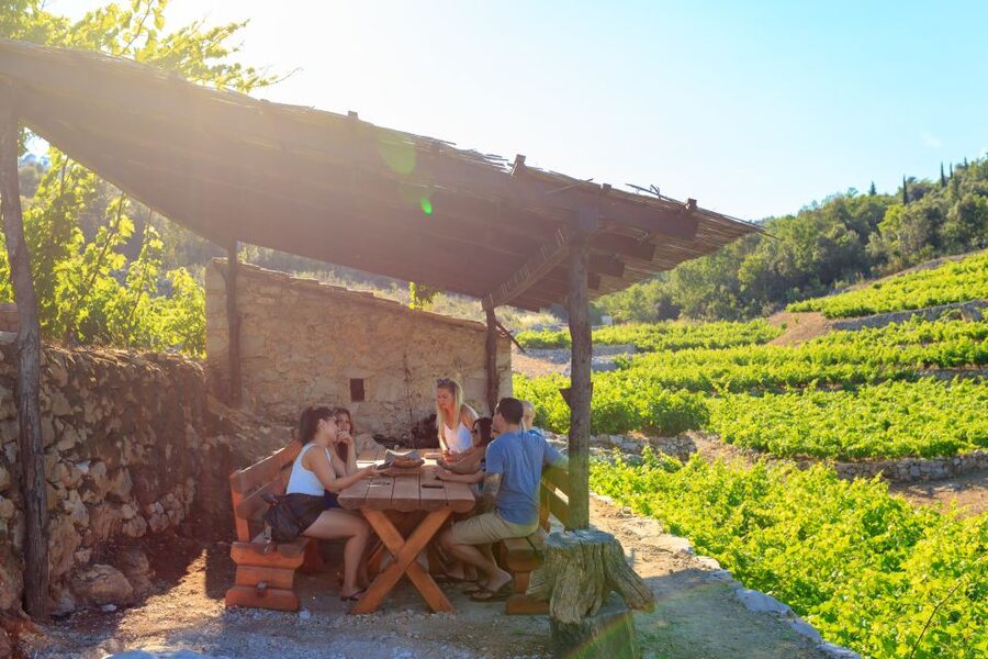 Pelješac Full-Day Wine and Food Tour from Dubrovnik - Ston walls and salt made the old way