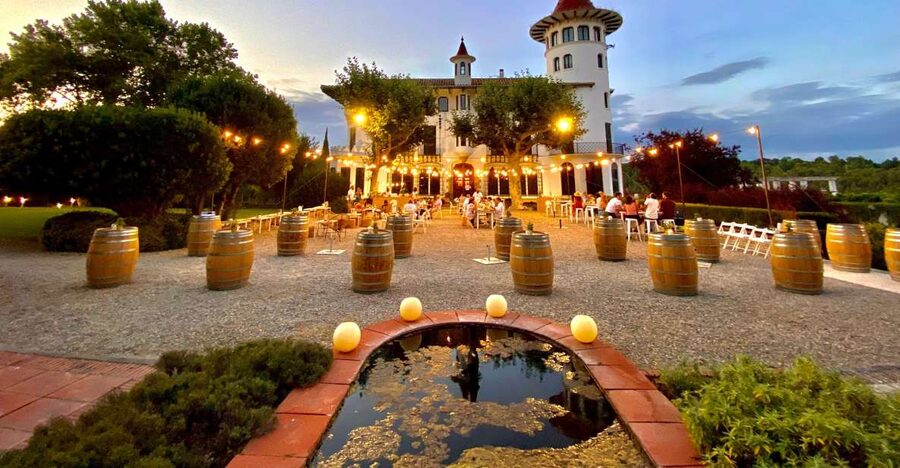 Penedès: Discovery Tour with Cava Tasting - Why Codorníu is more than a cava tasting