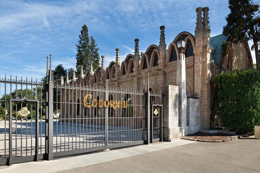 Penedès: Discovery Tour with Cava Tasting - Descending 20 meters into the cellar tunnels