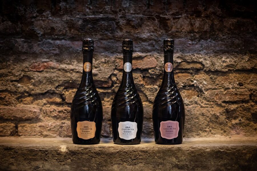 Penedès: Discovery Tour with Cava Tasting - Is $26 a fair price?