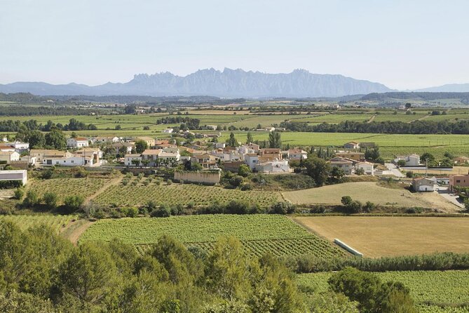 Penedes Wine & Cava Tasting & 4WD Vineyards Tour from Barcelona - Why Penedès is worth a morning away from Barcelona