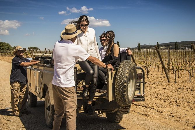 Penedes Wine & Cava Tasting & 4WD Vineyards Tour from Barcelona - Three wines, four cavas, and light food pairings