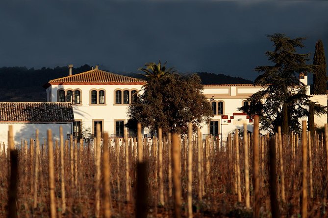 Penedes Wine & Cava Tasting & 4WD Vineyards Tour from Barcelona - How much time you spend standing