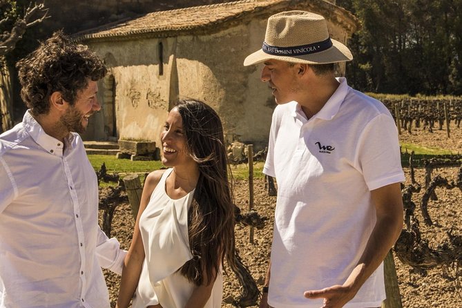 Penedes Wine & Cava Tasting & 4WD Vineyards Tour from Barcelona - Who should book this Penedès tour
