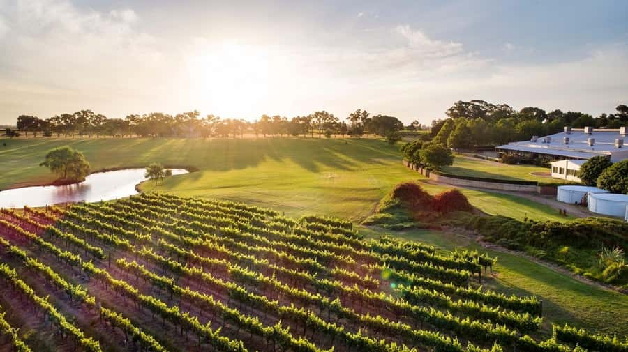 Perth: Full Day Swan Valley Cruise & Wine Tasting With Lunch - Why the boat ride is the right start