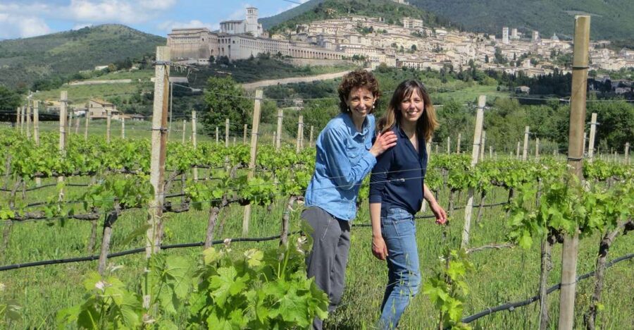 Pic nic Deluxe Assisi and wine tasting 5 wines - Starting with five Umbrian wines