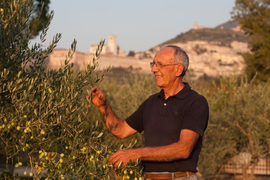 Pic nic Deluxe Assisi and wine tasting 5 wines - Who will enjoy it most