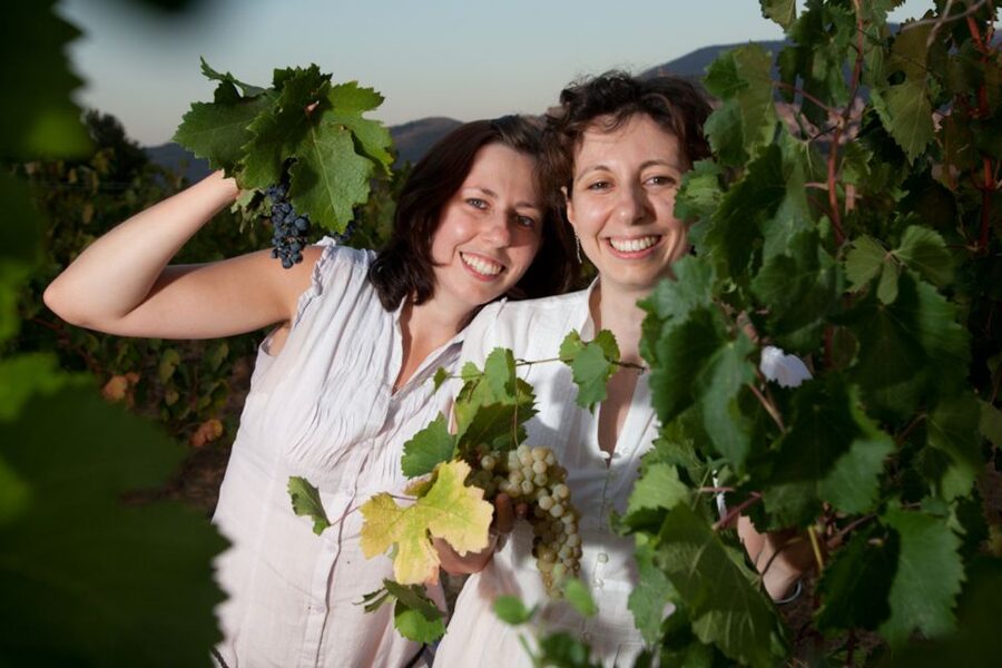 Pic nic Deluxe Assisi and wine tasting 5 wines - Arriving near the Basilica of Saint Francis