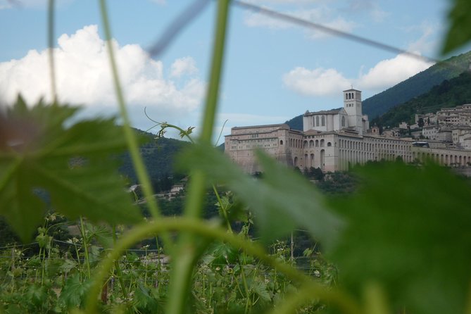 Pic nic Deluxe Assisi for 2 and wine tasting 5 wines - Five wines and a chance to choose your favorite