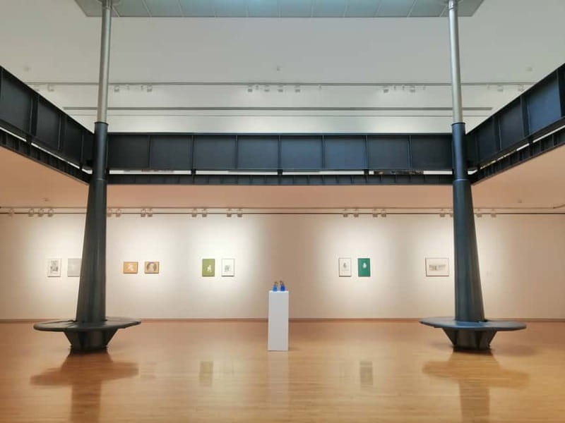 Picasso Museum and Walking Tour Plus Wine Tasting Upgrade - Key points at a glance