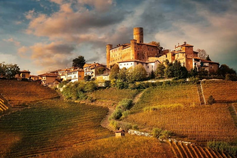 Piedmont: Winery Tour, Taste Barolo, Barbaresco & Local Food - Walking the vineyards before the cellar