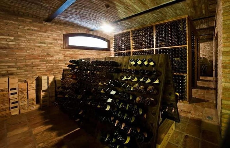 Piedmont: Winery Tour, Taste Barolo, Barbaresco & Local Food - Estate olive oil and two regional liqueurs