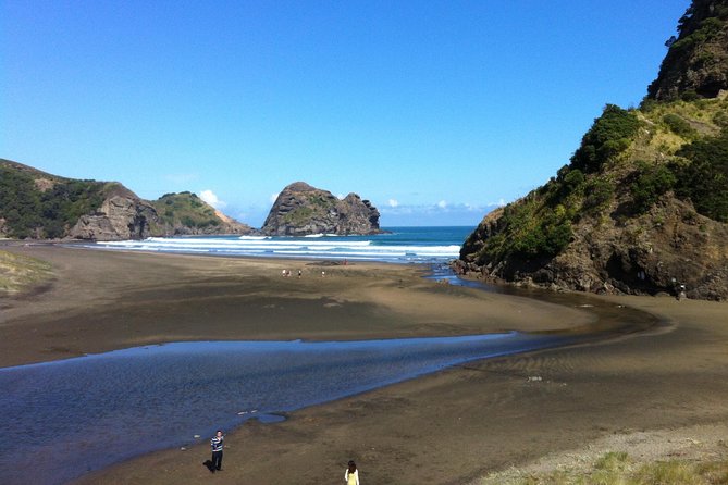 Piha Waitakere Rainforest Wine Tour from Auckland - Piha Beach and the power of Auckland’s west coast