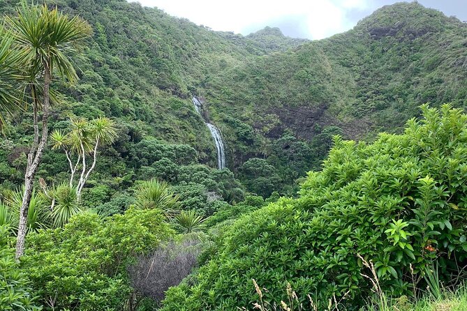 Piha Waitakere Rainforest Wine Tour from Auckland - Westbrook Winery and a second look at local wine