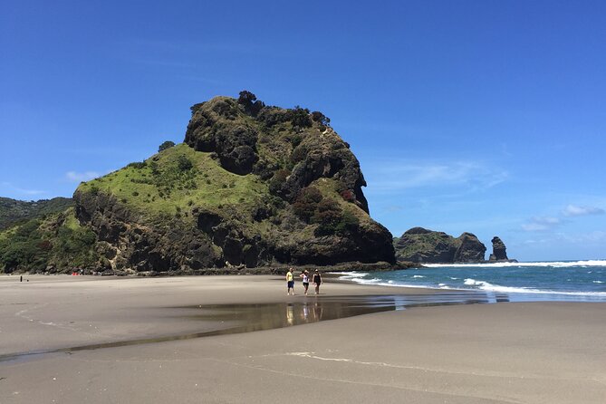 Piha Waitakere Rainforest Wine Tour from Auckland - The price and what you receive for $195.48