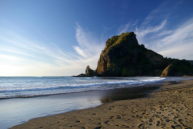 Piha Waitakere Rainforest Wine Tour from Auckland - The Waitakere Ranges and Karekare Falls