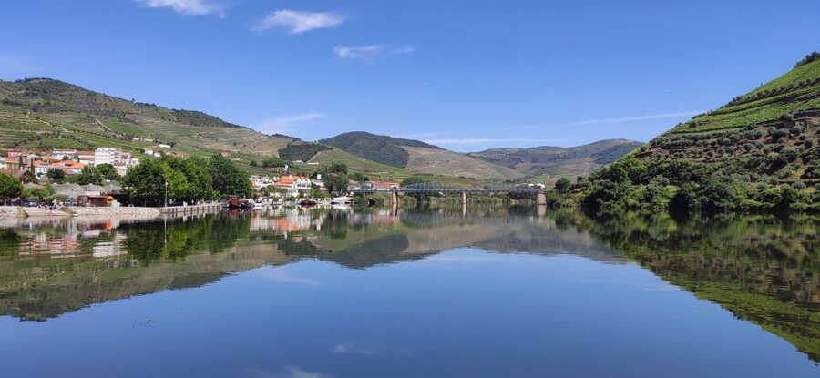 Pinhão: Douro River 50-min Boat Trip with Port Wine - Seeing Pinhão from the Douro