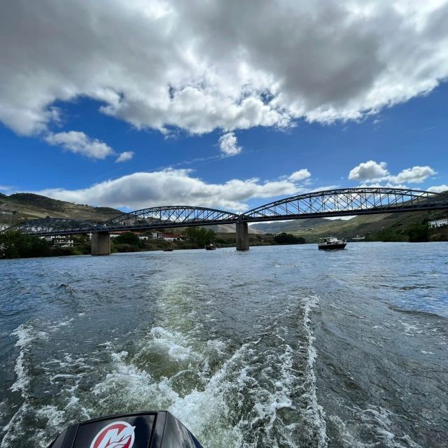 Pinhão: Douro River 50-min Boat Trip with Port Wine - Who should book this Douro cruise?