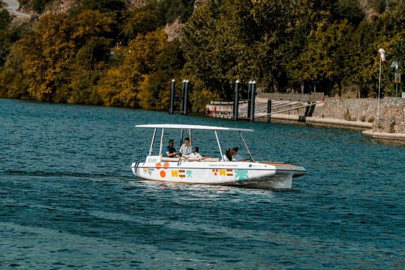 Pinhão: Douro River Solar Boat Tour with Wine Tasting - Two wines from Adega de Favaios