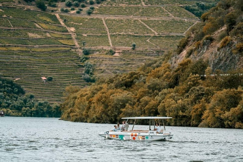 Pinhão: Douro River Solar Boat Tour with Wine Tasting - Practical tips for a smoother trip