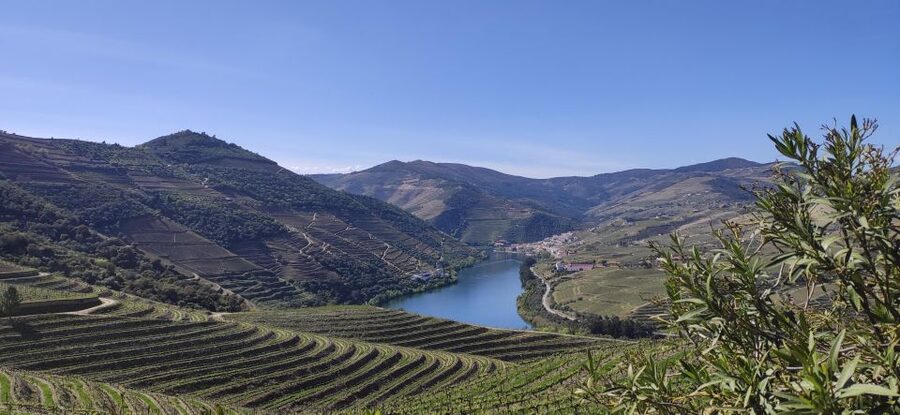 Pinhão: Douro Valley with Wine Tasting, Boat Trip and Lunch - Why this Pinhão day works so well