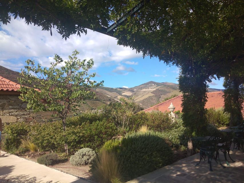 Pinhão: Douro Valley with Wine Tasting, Boat Trip and Lunch - The final viewpoint above the valley