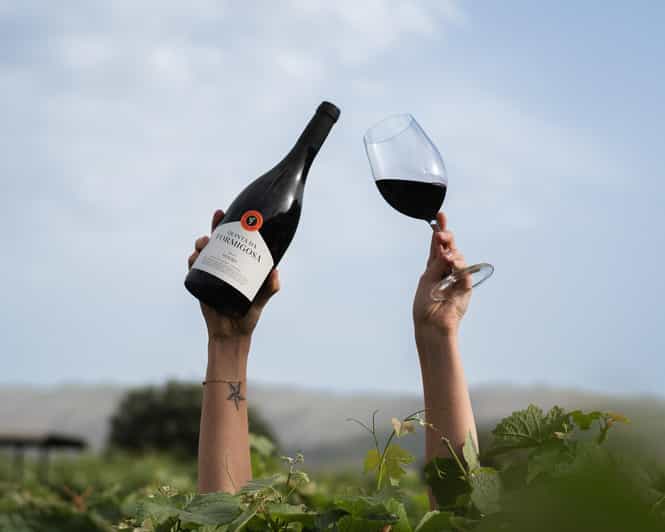 Pinhão: Quinta da Formigosa Vineyard Tour and Wine Tasting - Fifteen minutes among the vines
