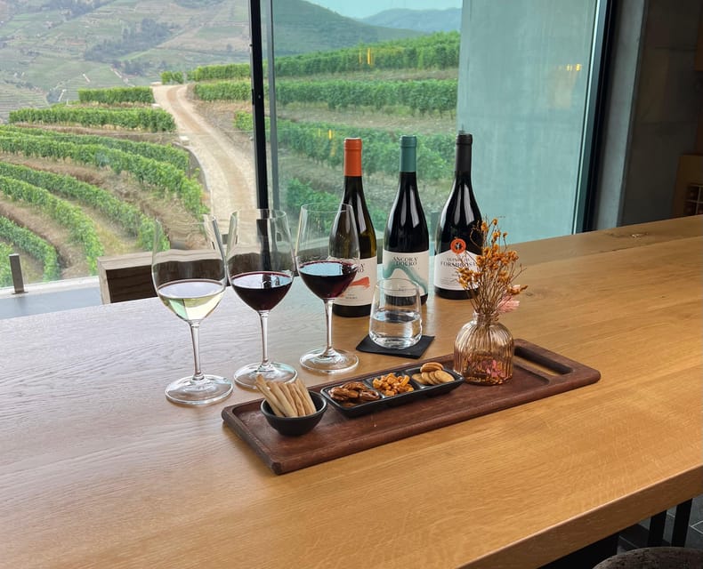 Pinhão: Quinta da Formigosa Vineyard Tour and Wine Tasting - What the guides add to the visit